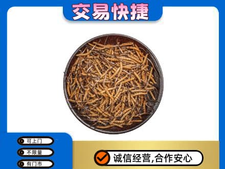 淄博淄川区回收散虫草